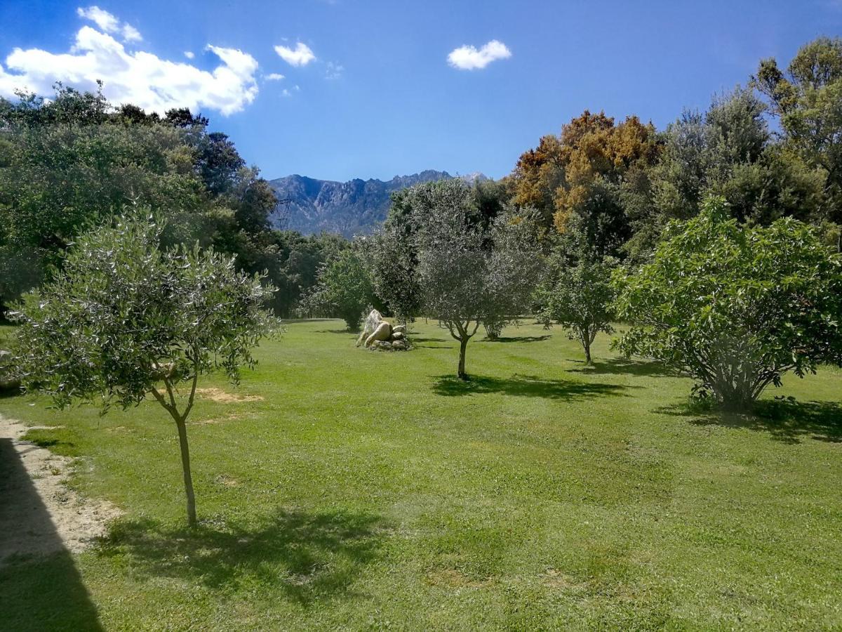 Bed and Breakfast Maison San Giovanni à Corte  Extérieur photo